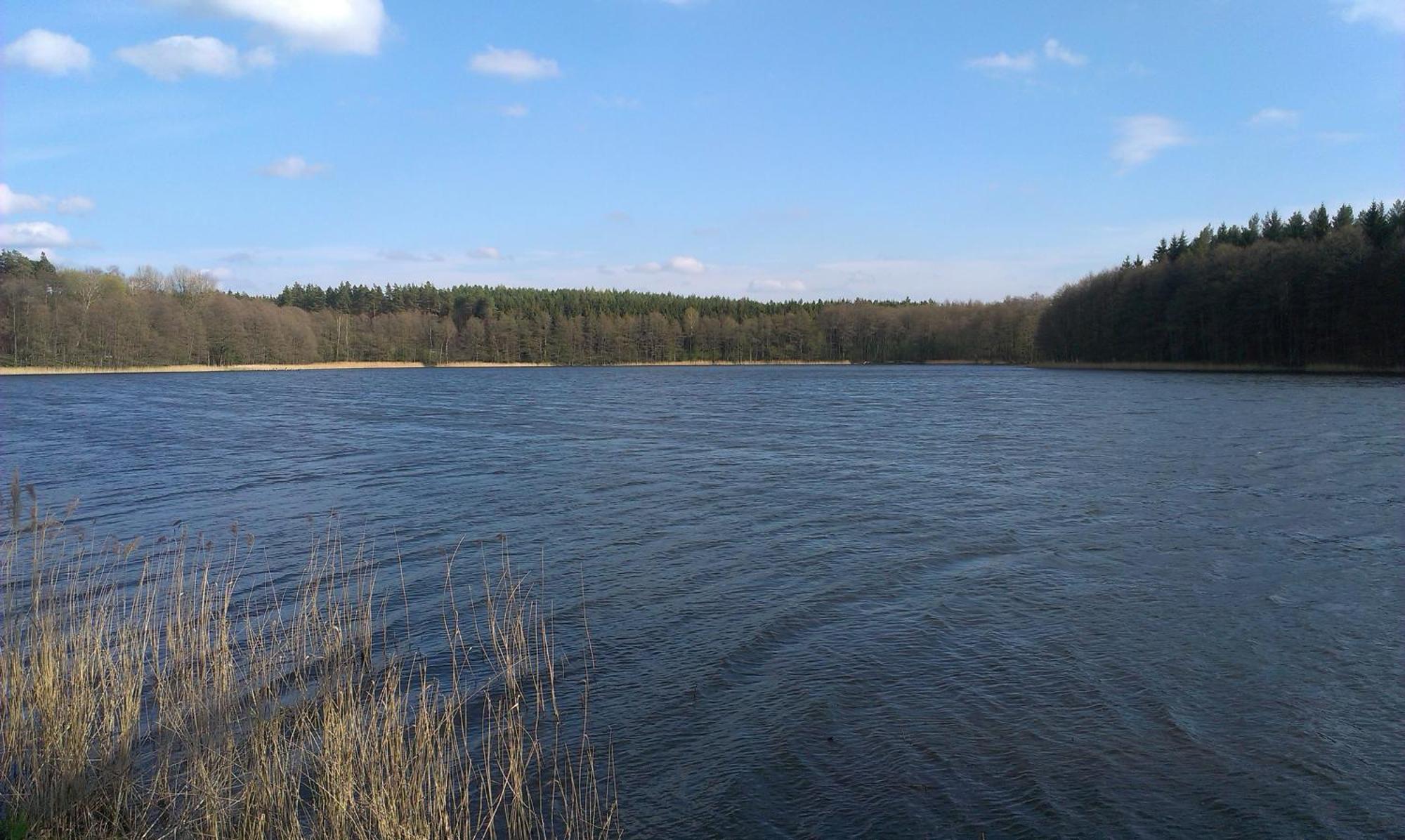 Agro-Tur Domki W Szuwarach Kuty Pokoj fotografie