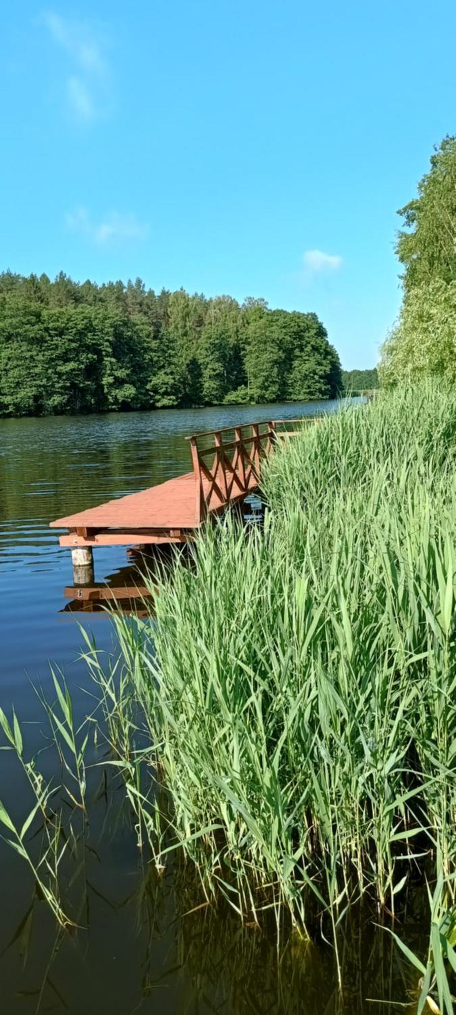 Agro-Tur Domki W Szuwarach Kuty Exteriér fotografie