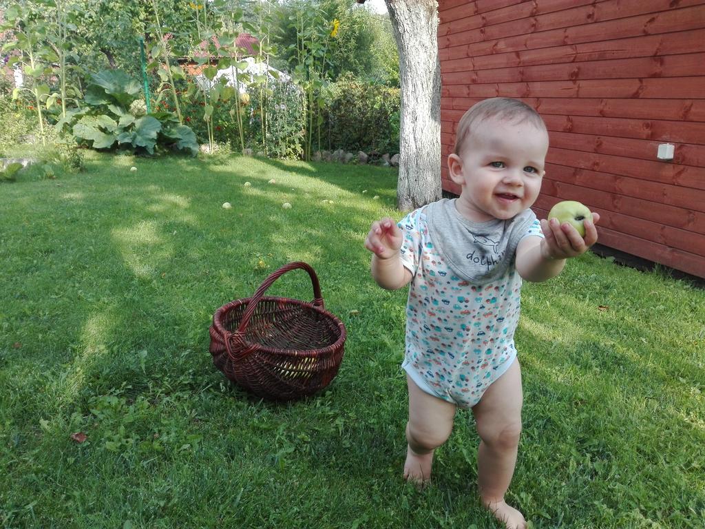 Agro-Tur Domki W Szuwarach Kuty Exteriér fotografie