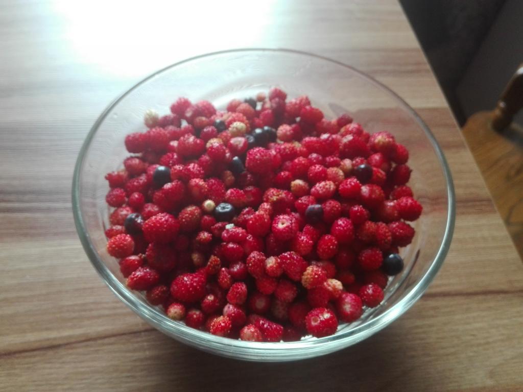 Agro-Tur Domki W Szuwarach Kuty Exteriér fotografie