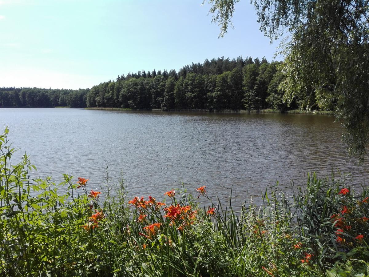 Agro-Tur Domki W Szuwarach Kuty Exteriér fotografie